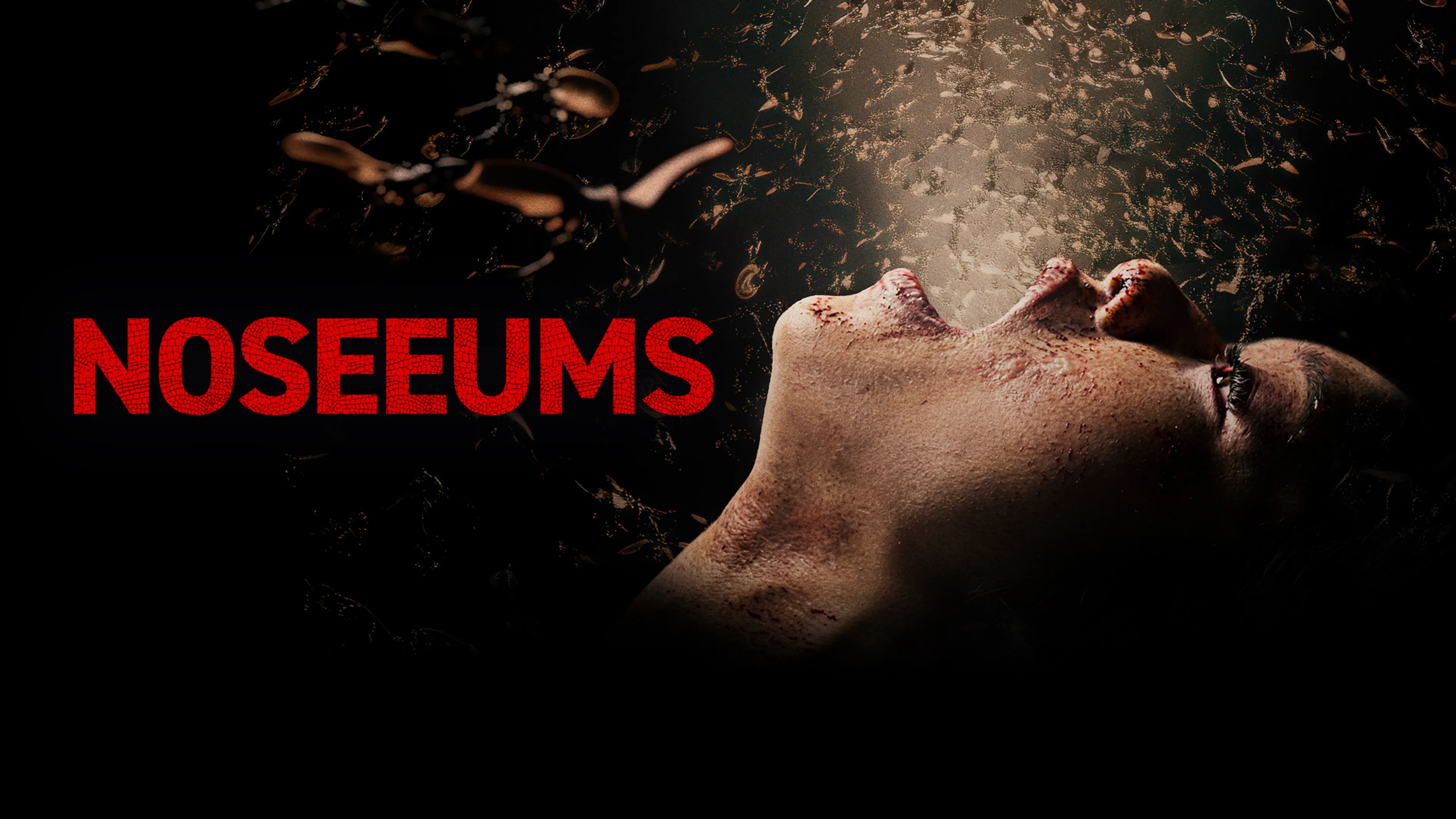 Title poster image